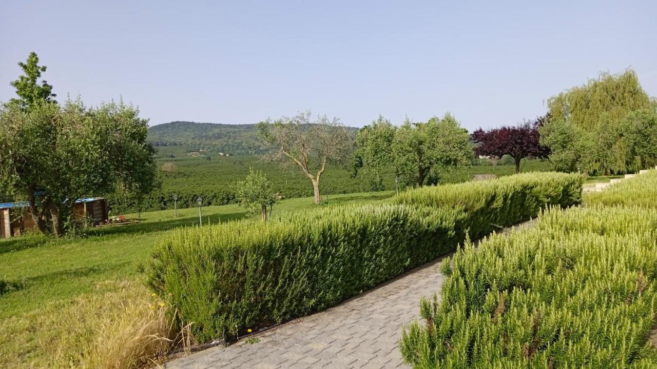 L'Orto Sul Poggio Bed and Breakfast Sutri Buitenkant foto
