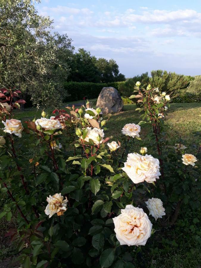 L'Orto Sul Poggio Bed and Breakfast Sutri Buitenkant foto