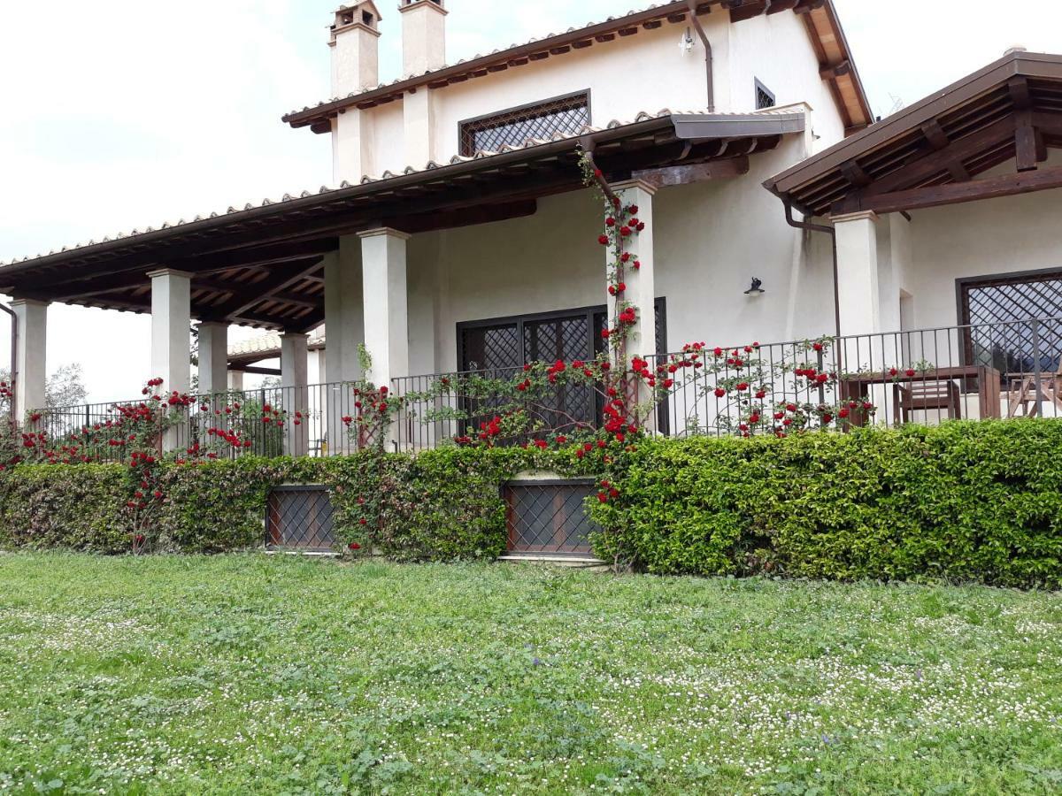 L'Orto Sul Poggio Bed and Breakfast Sutri Buitenkant foto