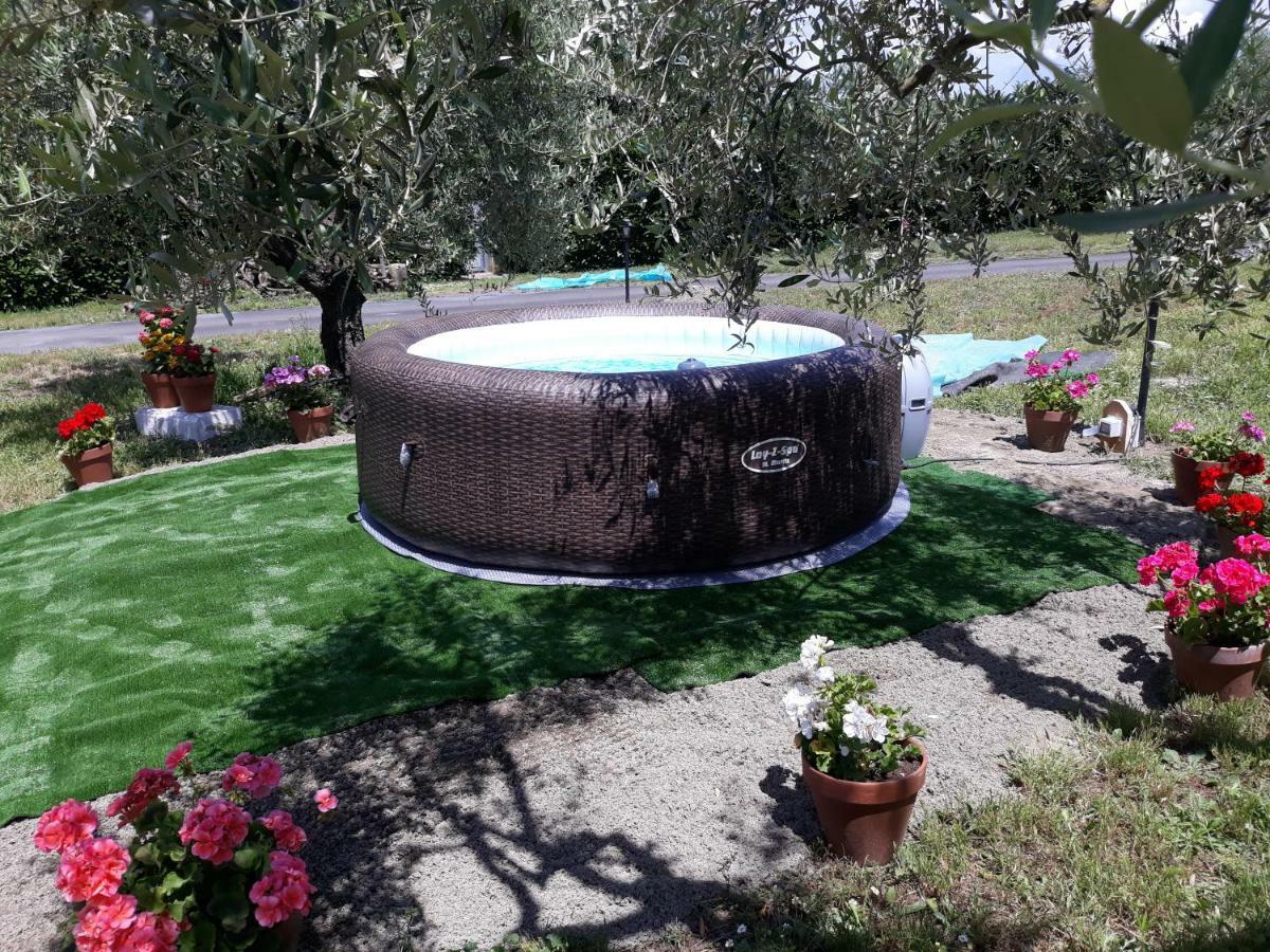 L'Orto Sul Poggio Bed and Breakfast Sutri Buitenkant foto
